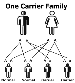 A Carrier